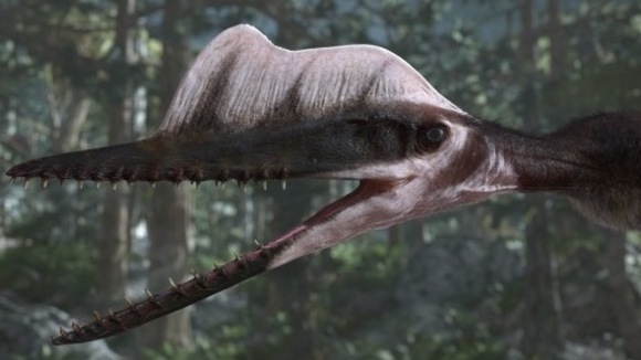 Photo from the movie Flying Monsters