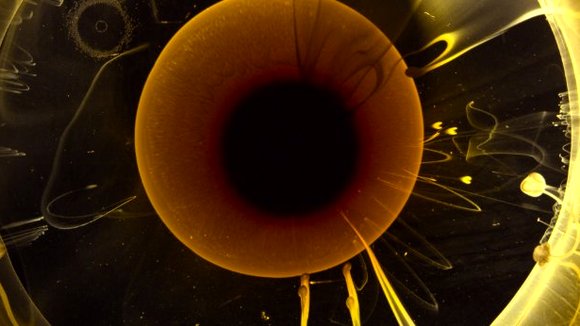 Photo from the movie Voyage of Time