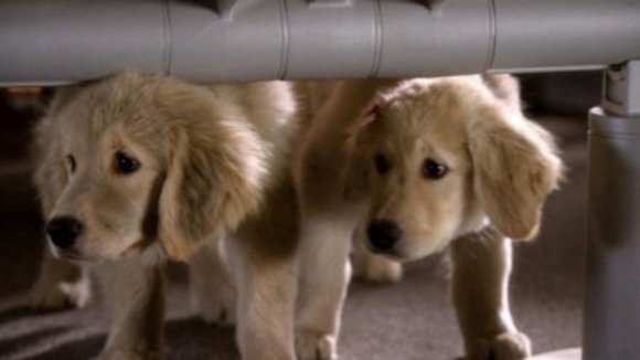 Photo from the movie Space Buddies