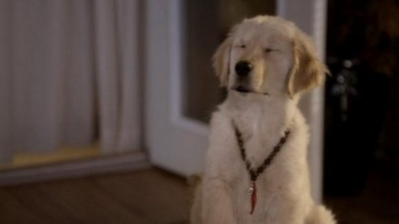 Photo from the movie Space Buddies