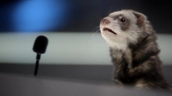 Photo from the movie Space Buddies