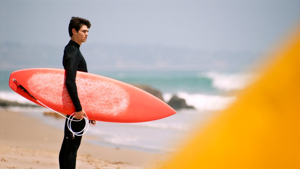 Photo from the movie SPF-18