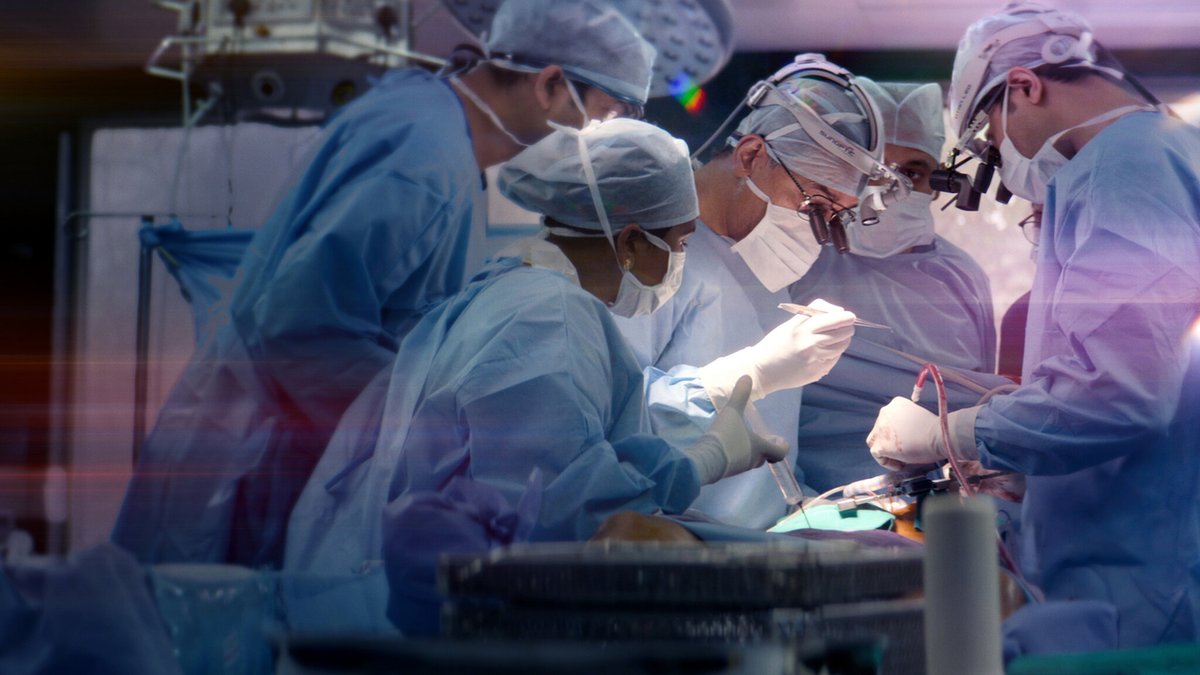 Photo from the movie The Surgeon's Cut