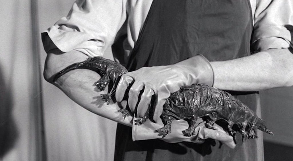 Photo from the movie The Tingler