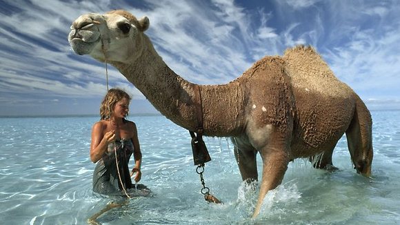 Photo from the movie Tracks