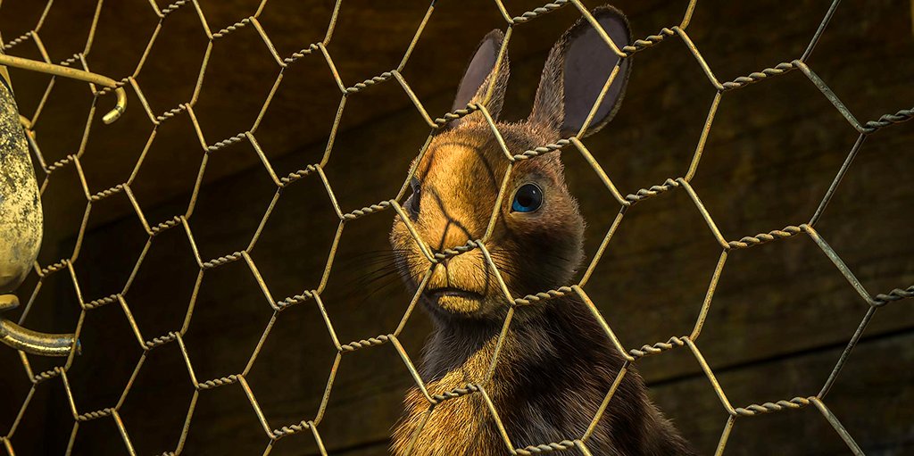 Photo from the movie Watership Down