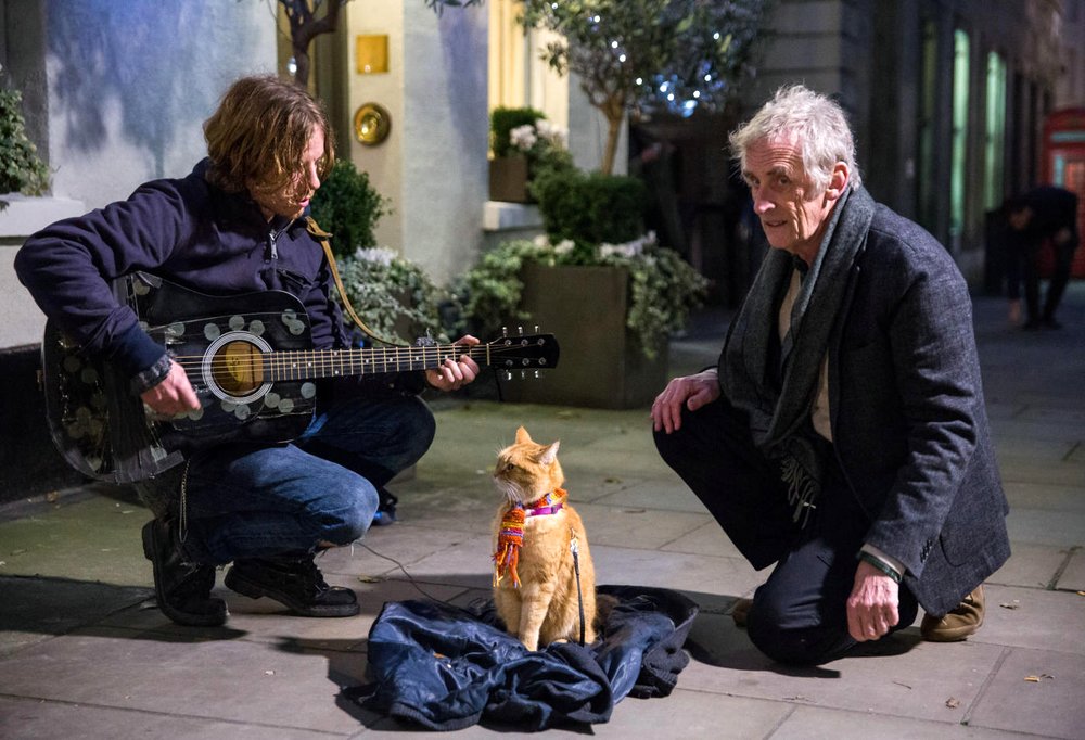 Photo from the movie A Street Cat Named Bob