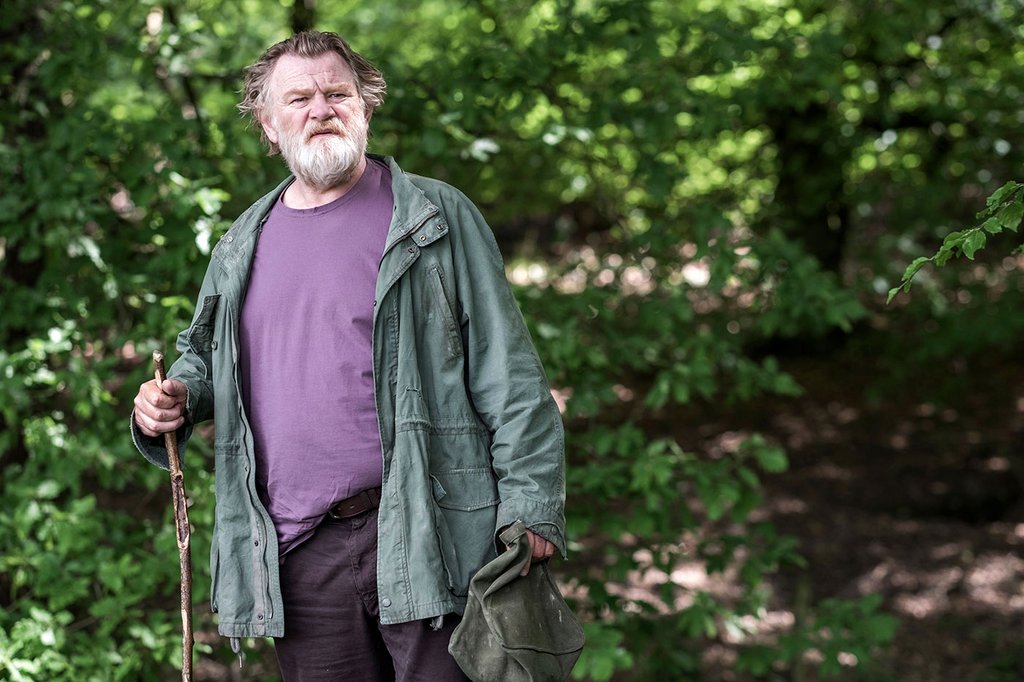 Photo from the movie Hampstead