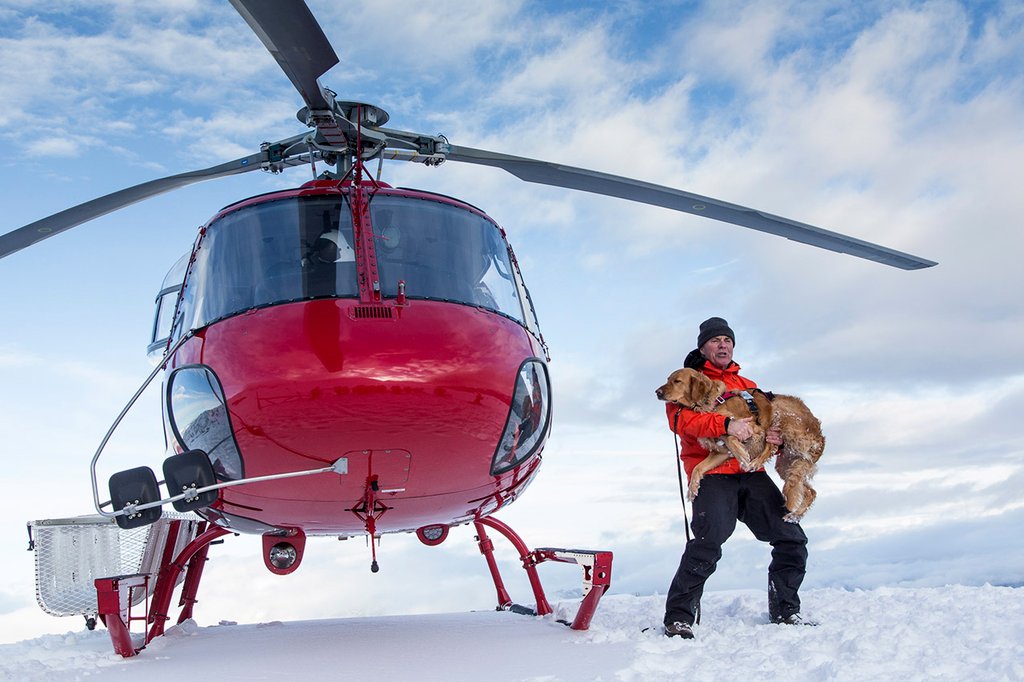 Photo from the movie Superpower Dogs