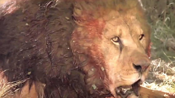 Photo from the movie Roar