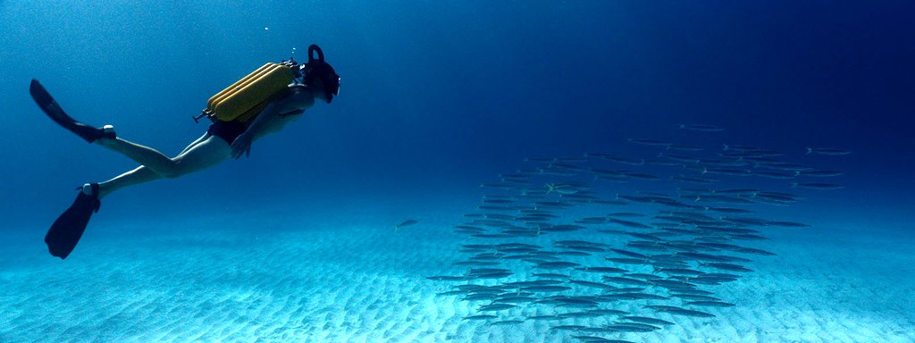 Photo from the movie The Odyssey