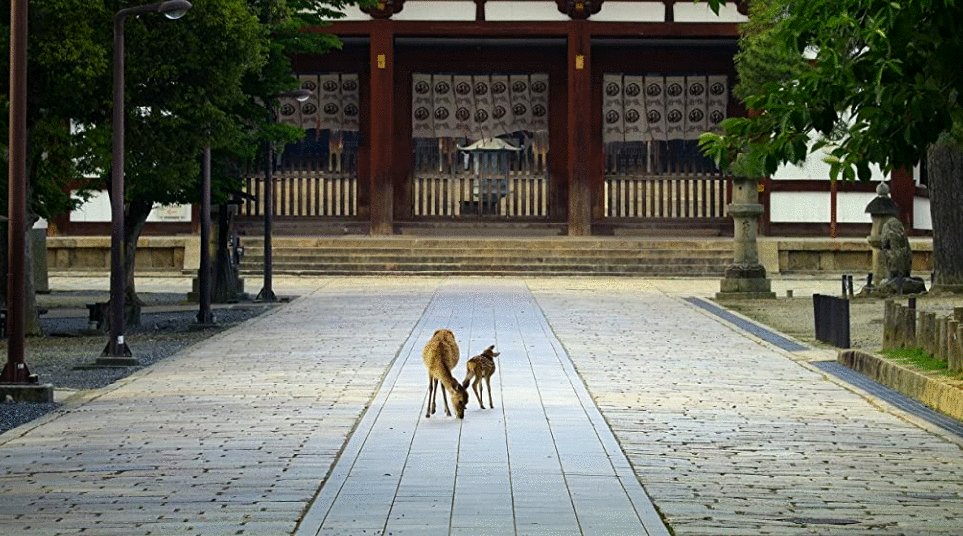 Photo from the movie The Year Earth Changed