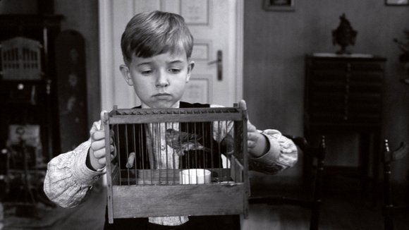 Photo from the movie The White Ribbon