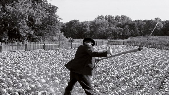 Photo from the movie The White Ribbon