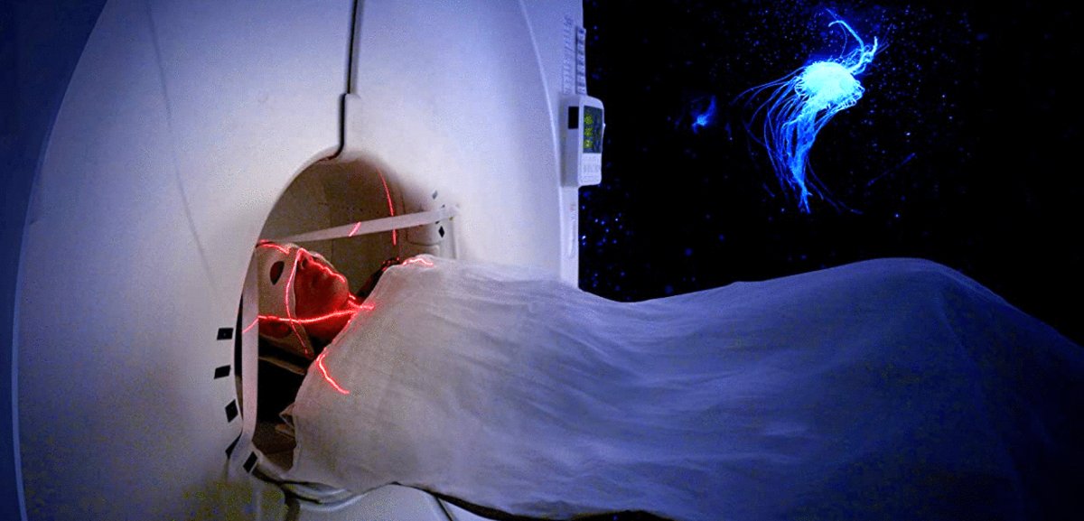 Photo from the movie Aware: Glimpses of Consciousness