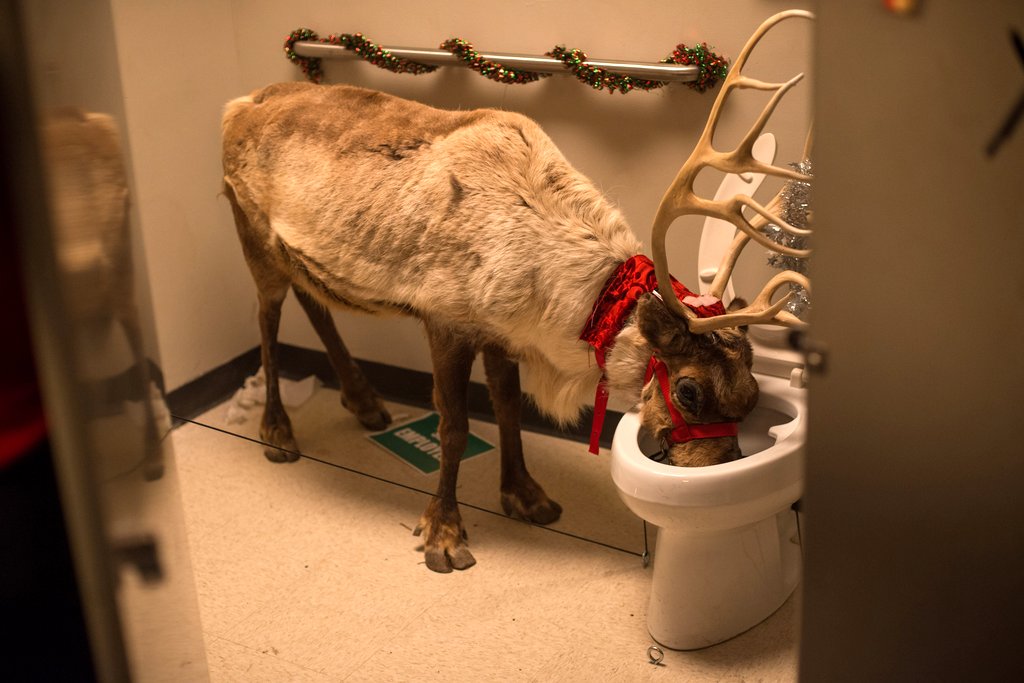 Photo from the movie Office Christmas Party