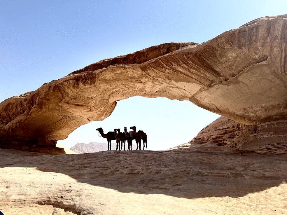 Photo from the movie The Goat Life