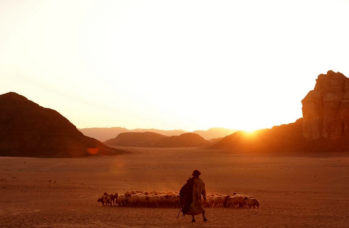 Photo from the movie The Goat Life