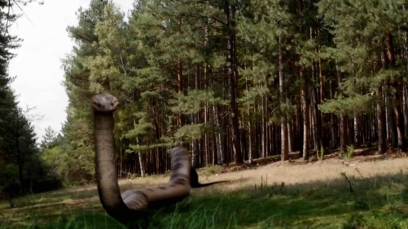 Photo from the movie Lake Placid vs. Anaconda