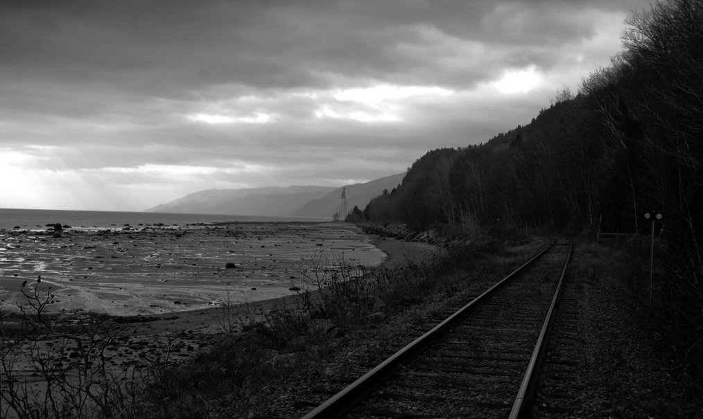 Photo from the movie No Trace