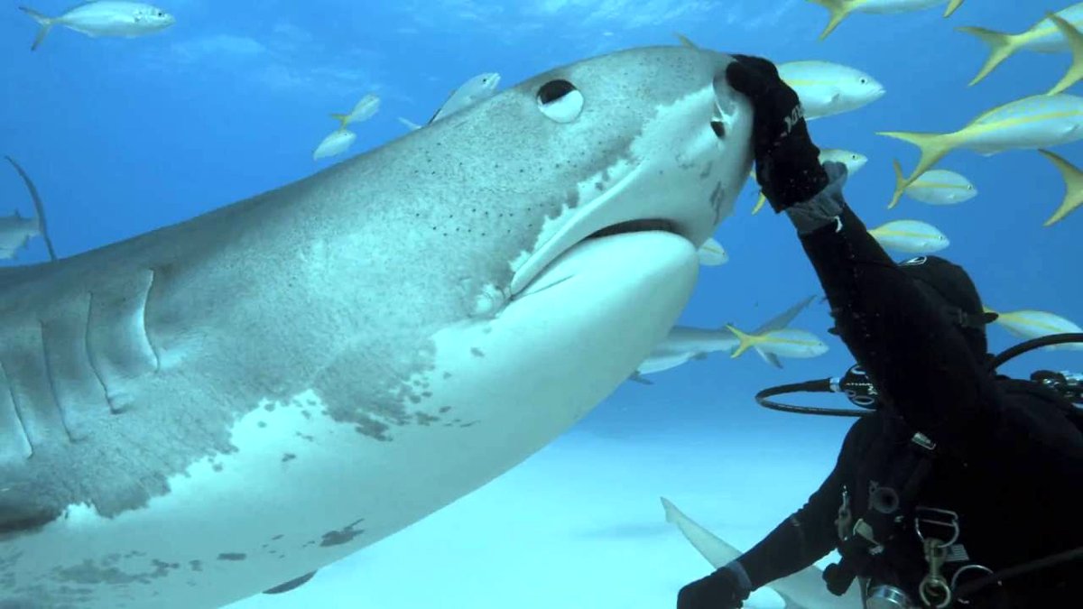 Photo from the movie Tales by Light