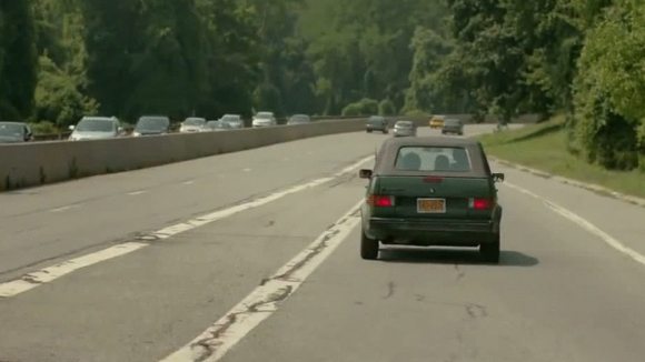 Photo from the movie A Birder's Guide to Everything