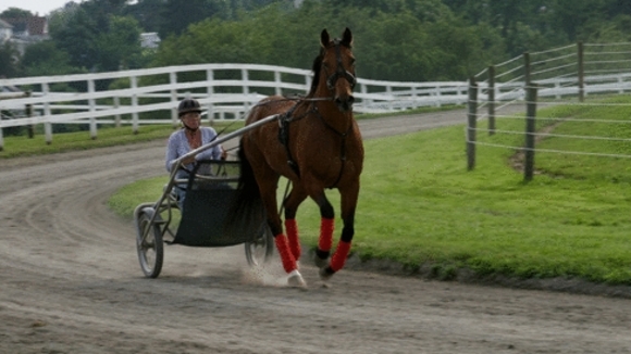 Photo from the movie Amazing Racer