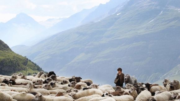 Photo from the movie Belle and Sebastian