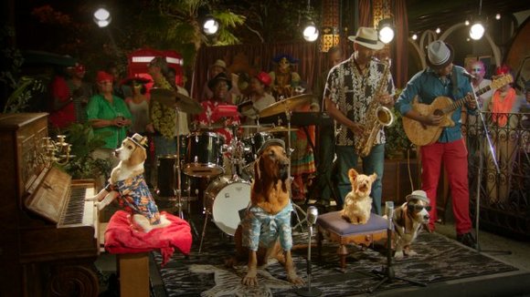 Photo from the movie Pup Star