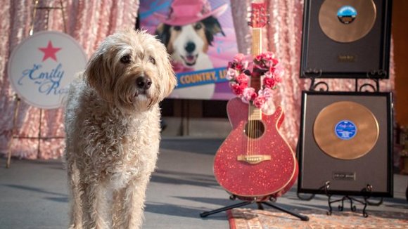 Photo from the movie Pup Star