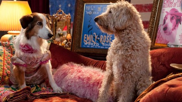 Photo from the movie Pup Star