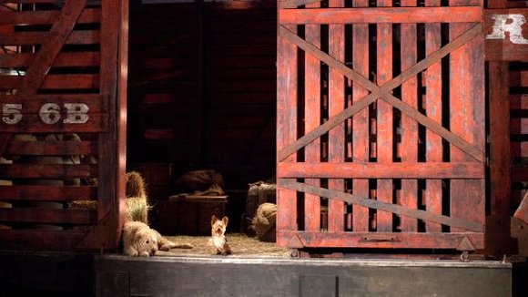 Photo from the movie Pup Star