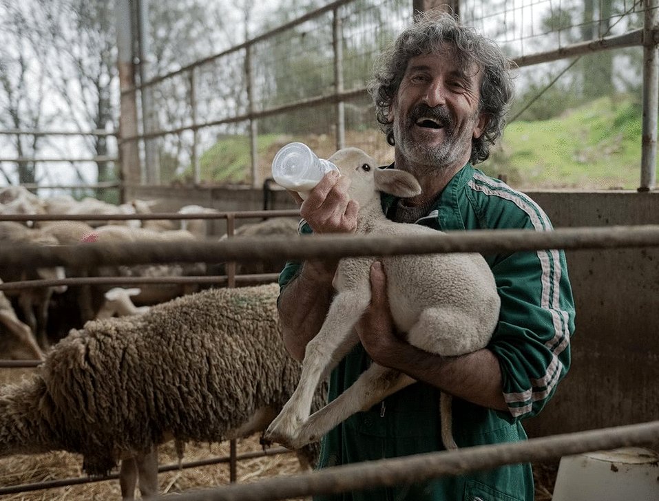 Photo from the movie Animal - Tv Series