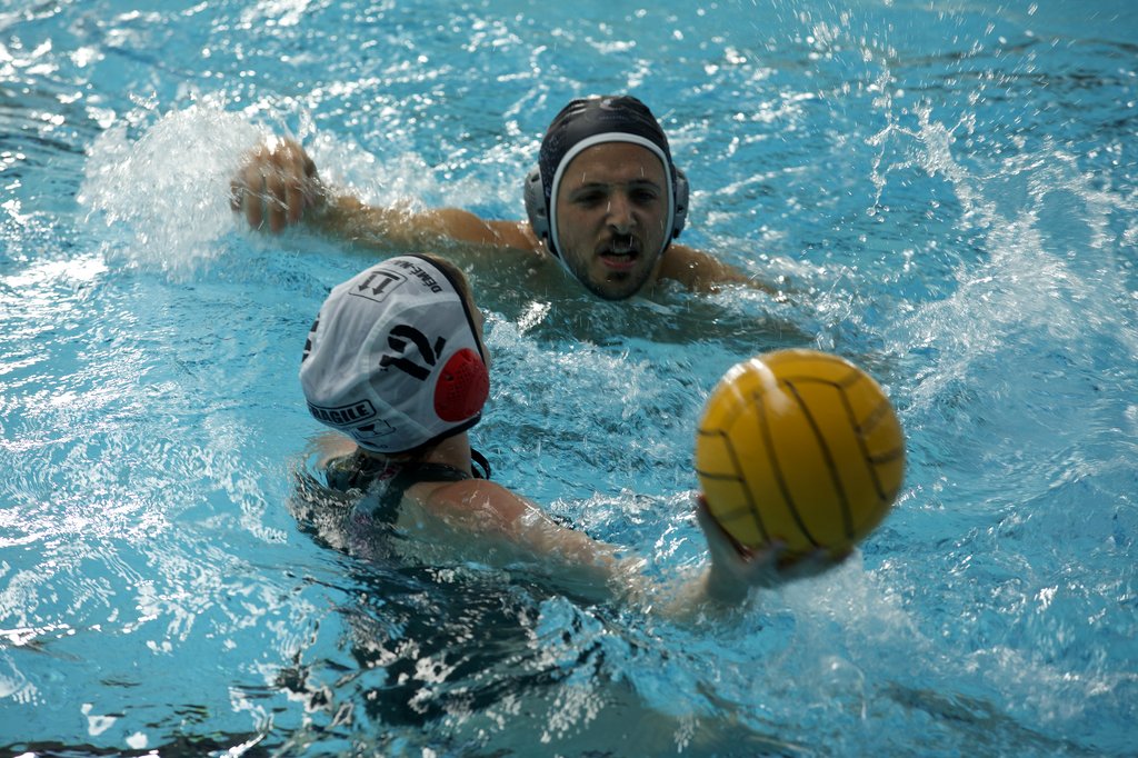 Photo from the movie The Shiny Shrimps