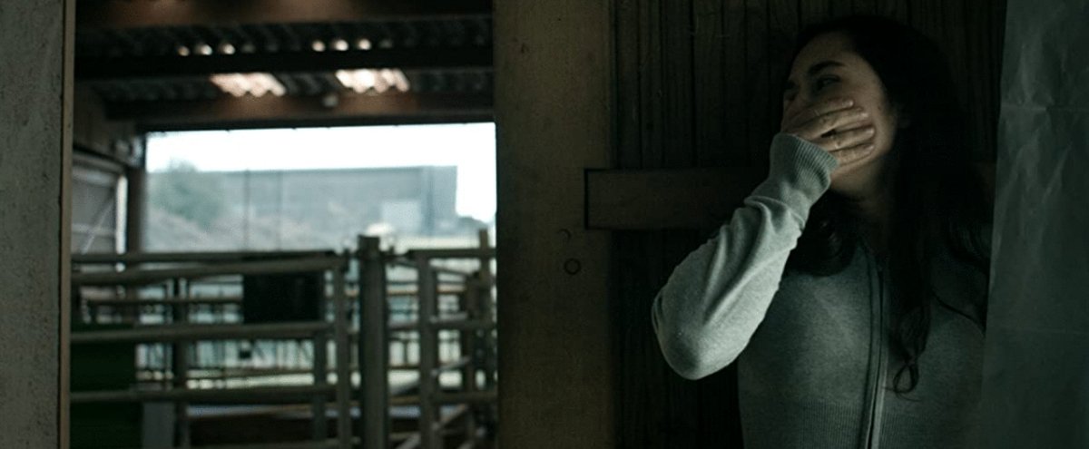 Photo du film Anonymous Animals [2020]