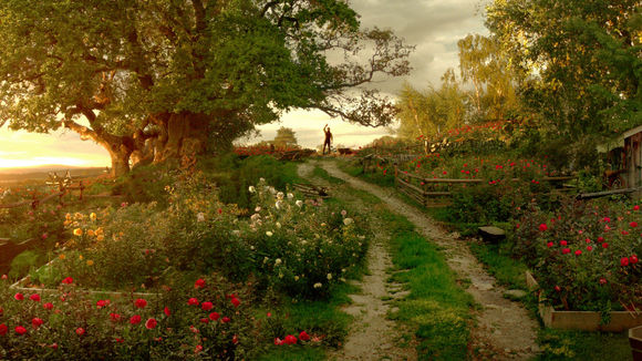 Photo from the movie Beauty and the Beast