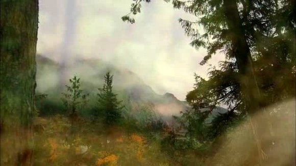 Photo from the movie Behemoth