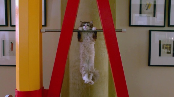 Photo from the movie Nine Lives
