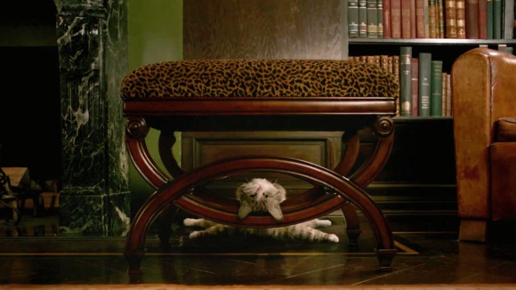 Photo from the movie Nine Lives