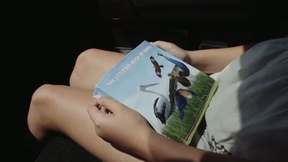 Photo from the movie Among Ravens