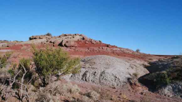 Photo from the movie Dinosaurs: Giants of Patagonia