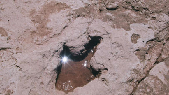 Photo from the movie Dinosaurs: Giants of Patagonia