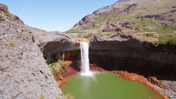 Photo from the movie Dinosaurs: Giants of Patagonia