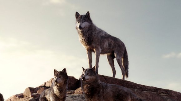 Photo from the movie The Jungle Book