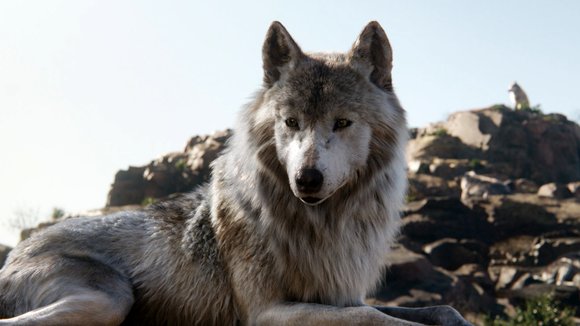 Photo from the movie The Jungle Book