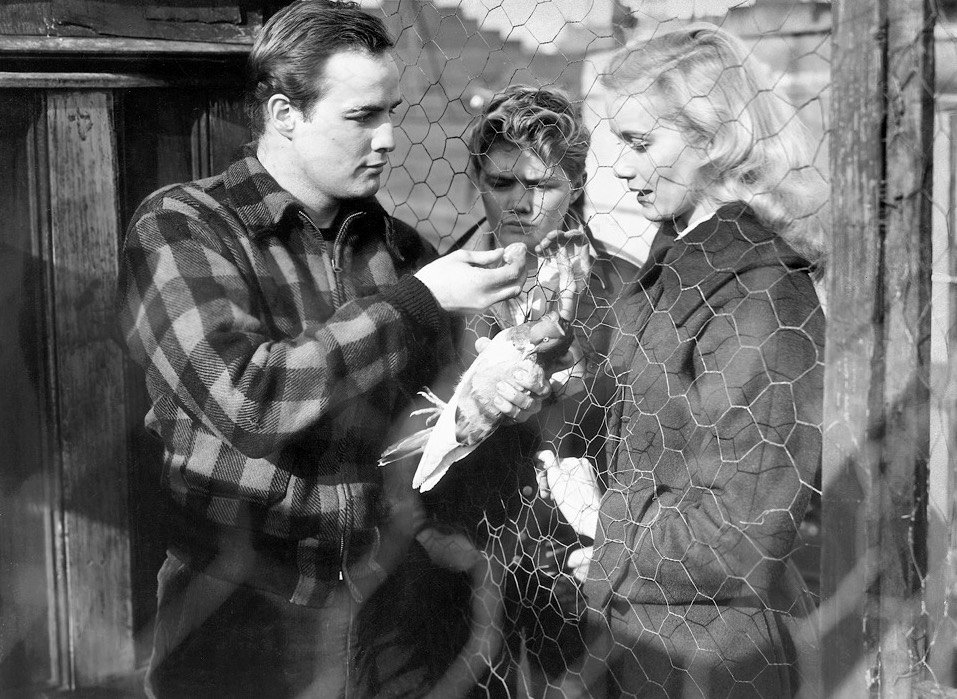 Photo from the movie On the Waterfront