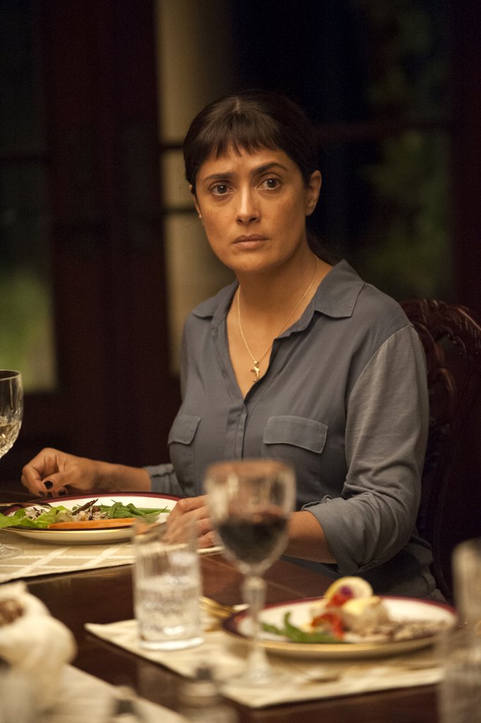 Photo from the movie Beatriz at Dinner