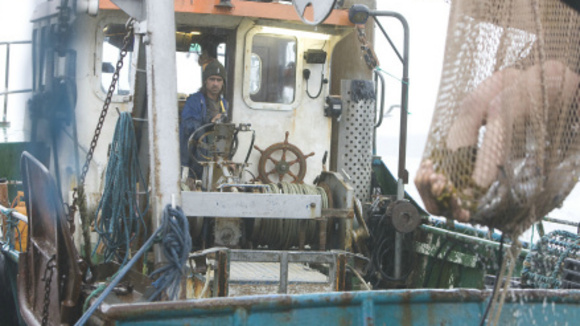 Photo from the movie Ondine