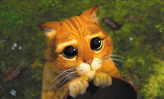 Photo from the movie Shrek 2