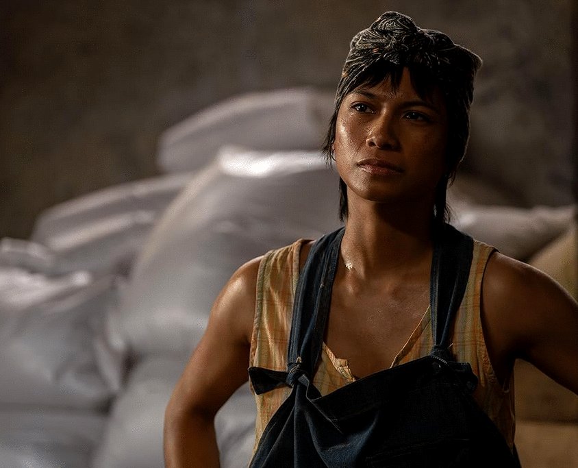 Photo du film Stags [2024]